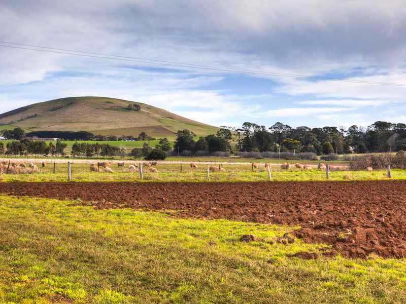 99 Birchs Creek Road, Kingston For Sale by Farmbuy.com - image 9