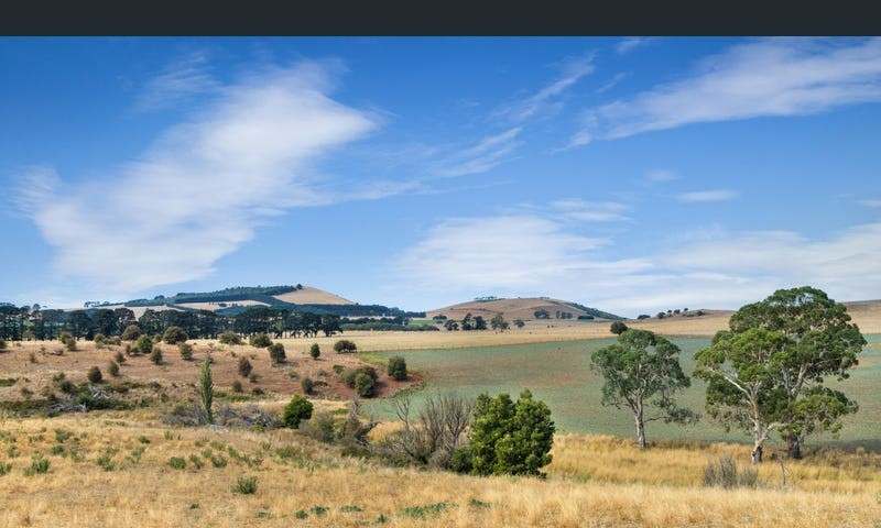 99 Birchs Creek Road, Kingston For Sale by Farmbuy.com - image 10