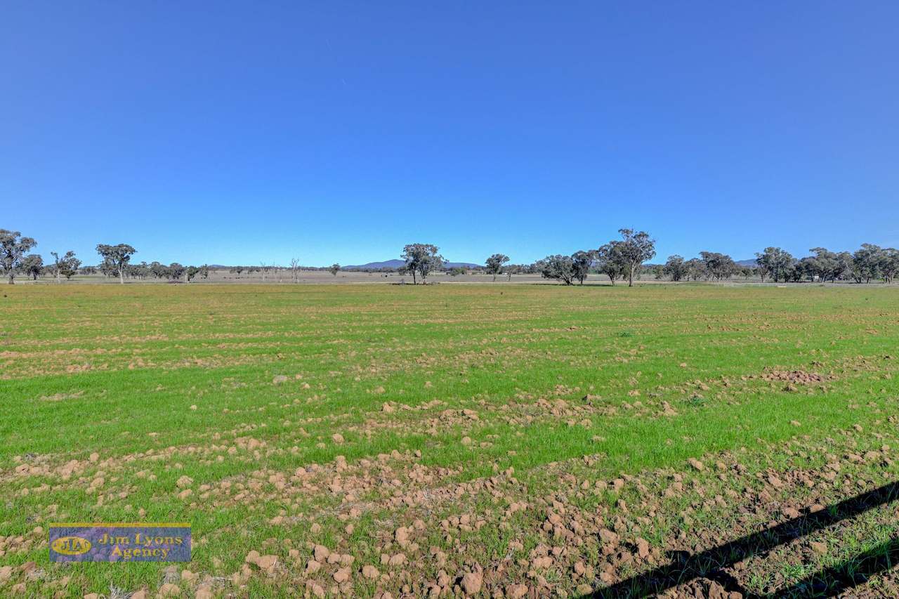  337 New Winton Rd ,  Tamworth For Sale by Farmbuy.com - image 28
