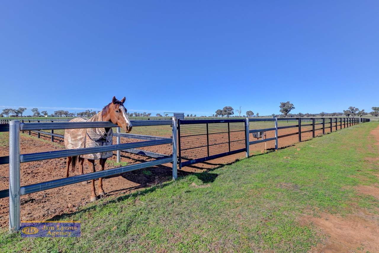  337 New Winton Rd ,  Tamworth For Sale by Farmbuy.com - image 25