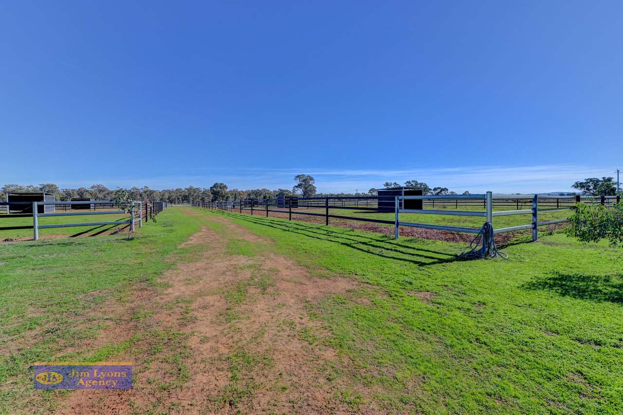 337 New Winton Rd ,  Tamworth For Sale by Farmbuy.com - image 21