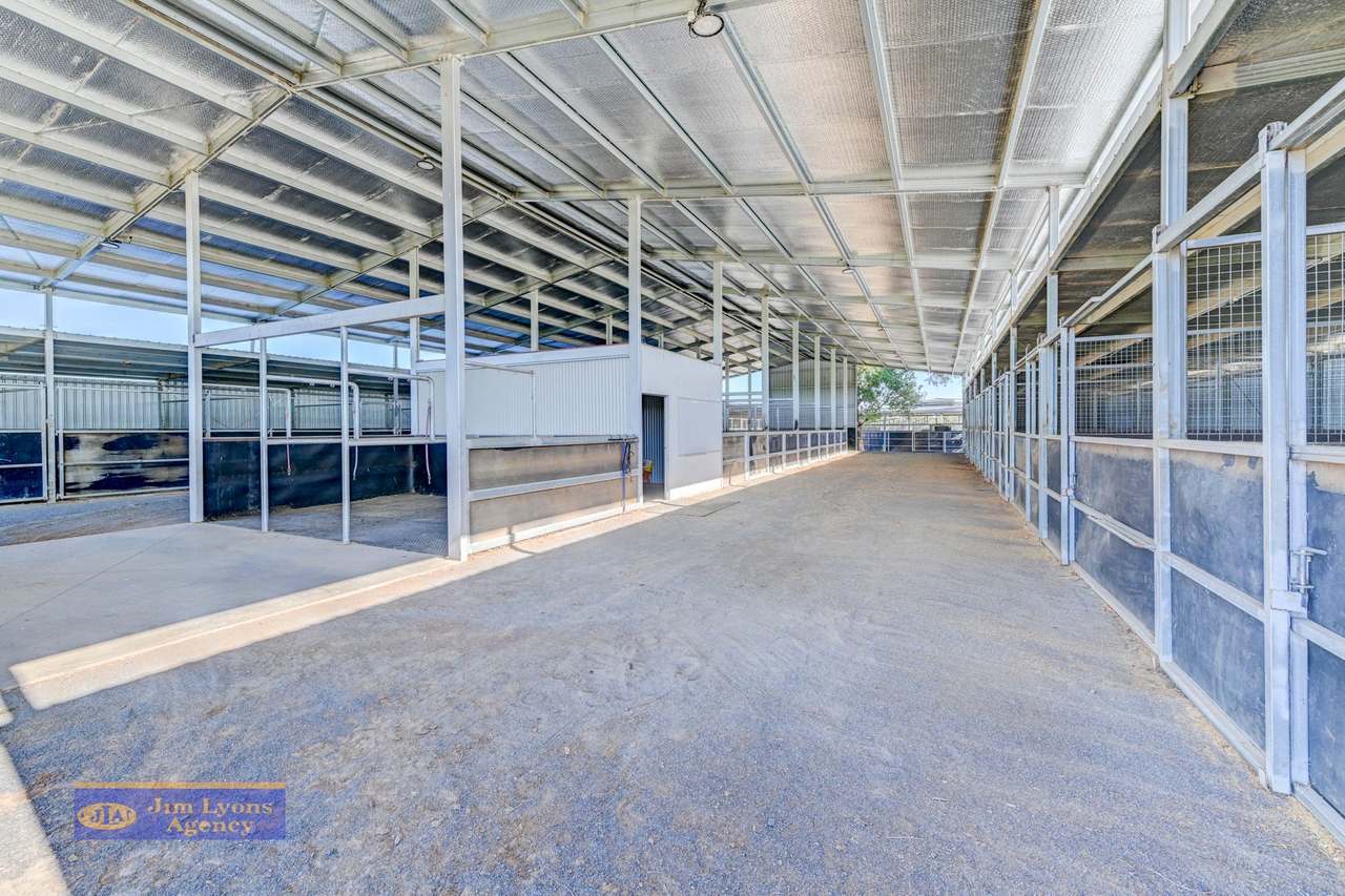  337 New Winton Rd ,  Tamworth For Sale by Farmbuy.com - image 15