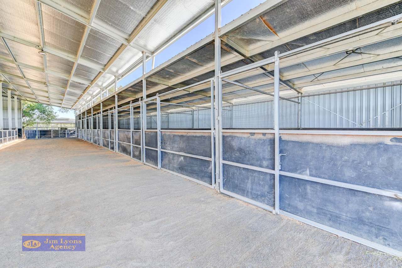  337 New Winton Rd ,  Tamworth For Sale by Farmbuy.com - image 16