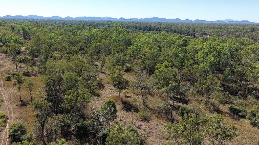 7374 Ayr–Dalbeg Road, Dalbeg For Sale by Farmbuy.com - image 4