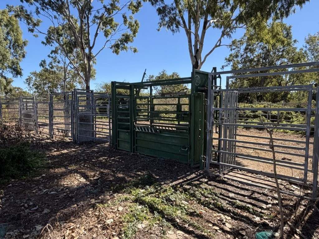 7374 Ayr–Dalbeg Road, Dalbeg For Sale by Farmbuy.com - image 29