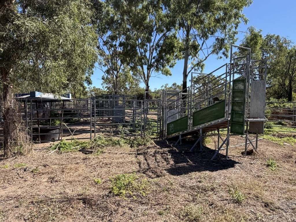 7374 Ayr–Dalbeg Road, Dalbeg For Sale by Farmbuy.com - image 28