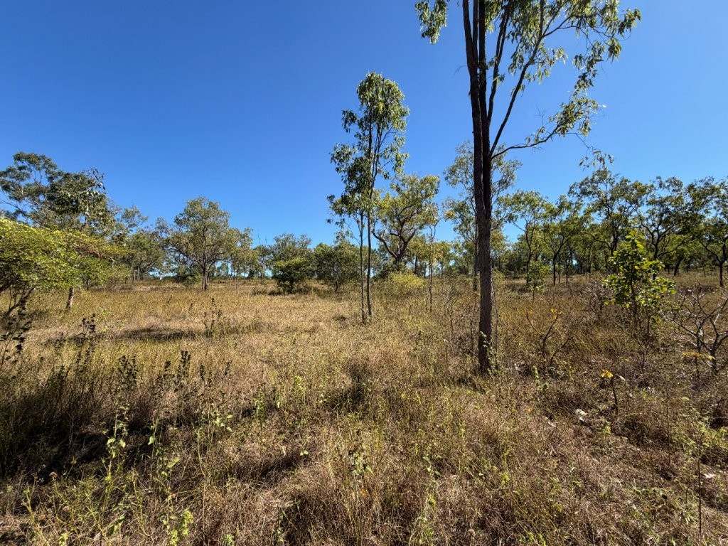 7374 Ayr–Dalbeg Road, Dalbeg For Sale by Farmbuy.com - image 24