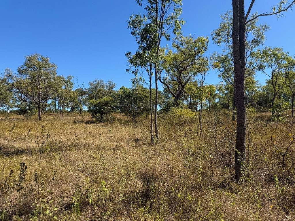 7374 Ayr–Dalbeg Road, Dalbeg For Sale by Farmbuy.com - image 7