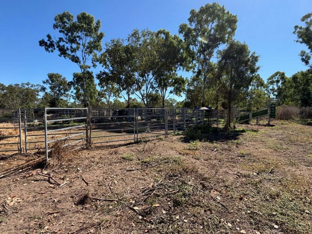 7374 Ayr–Dalbeg Road, Dalbeg For Sale by Farmbuy.com - image 27