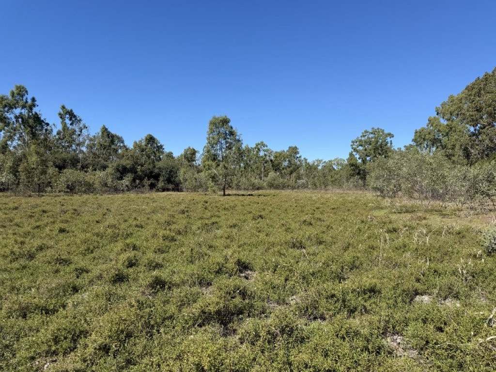 7374 Ayr–Dalbeg Road, Dalbeg For Sale by Farmbuy.com - image 13
