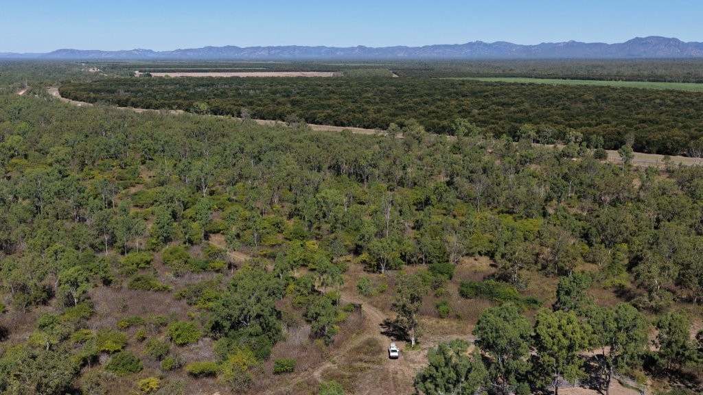 7374 Ayr–Dalbeg Road, Dalbeg For Sale by Farmbuy.com - image 10