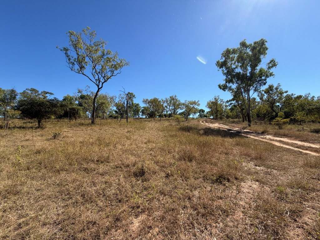 7374 Ayr–Dalbeg Road, Dalbeg For Sale by Farmbuy.com - image 18