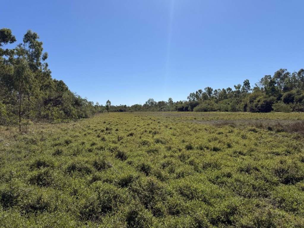 7374 Ayr–Dalbeg Road, Dalbeg For Sale by Farmbuy.com - image 6