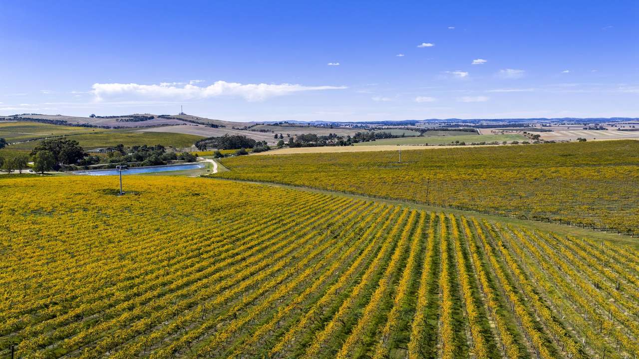 67 Greenwood Park Road, Auburn For Sale by Farmbuy.com - image 48