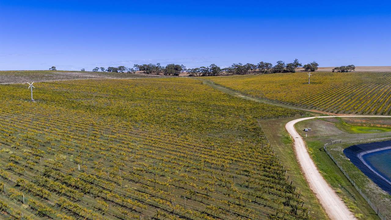67 Greenwood Park Road, Auburn For Sale by Farmbuy.com - image 37
