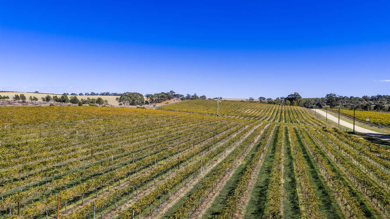 67 Greenwood Park Road, Auburn For Sale by Farmbuy.com - image 16