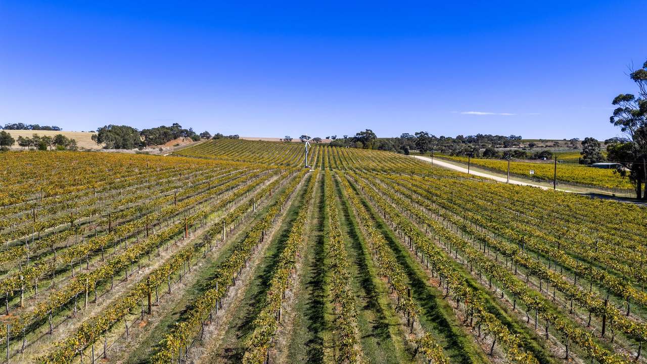 67 Greenwood Park Road, Auburn For Sale by Farmbuy.com - image 14