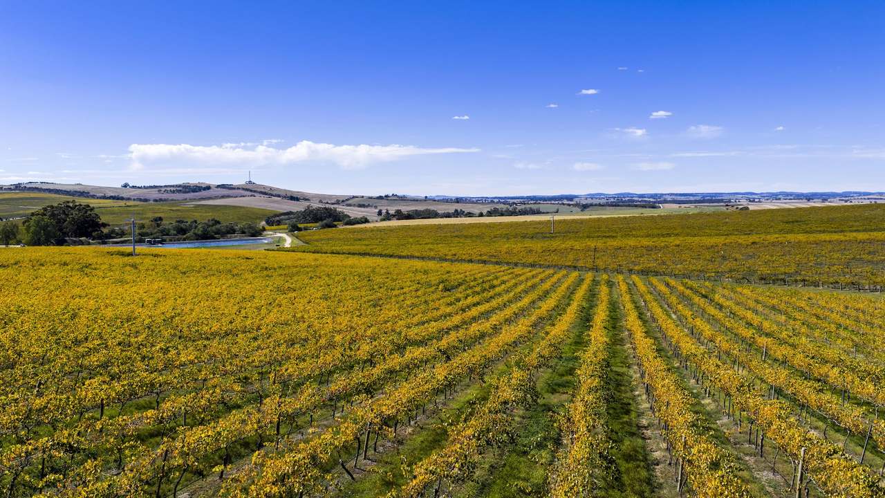 67 Greenwood Park Road, Auburn For Sale by Farmbuy.com - image 49