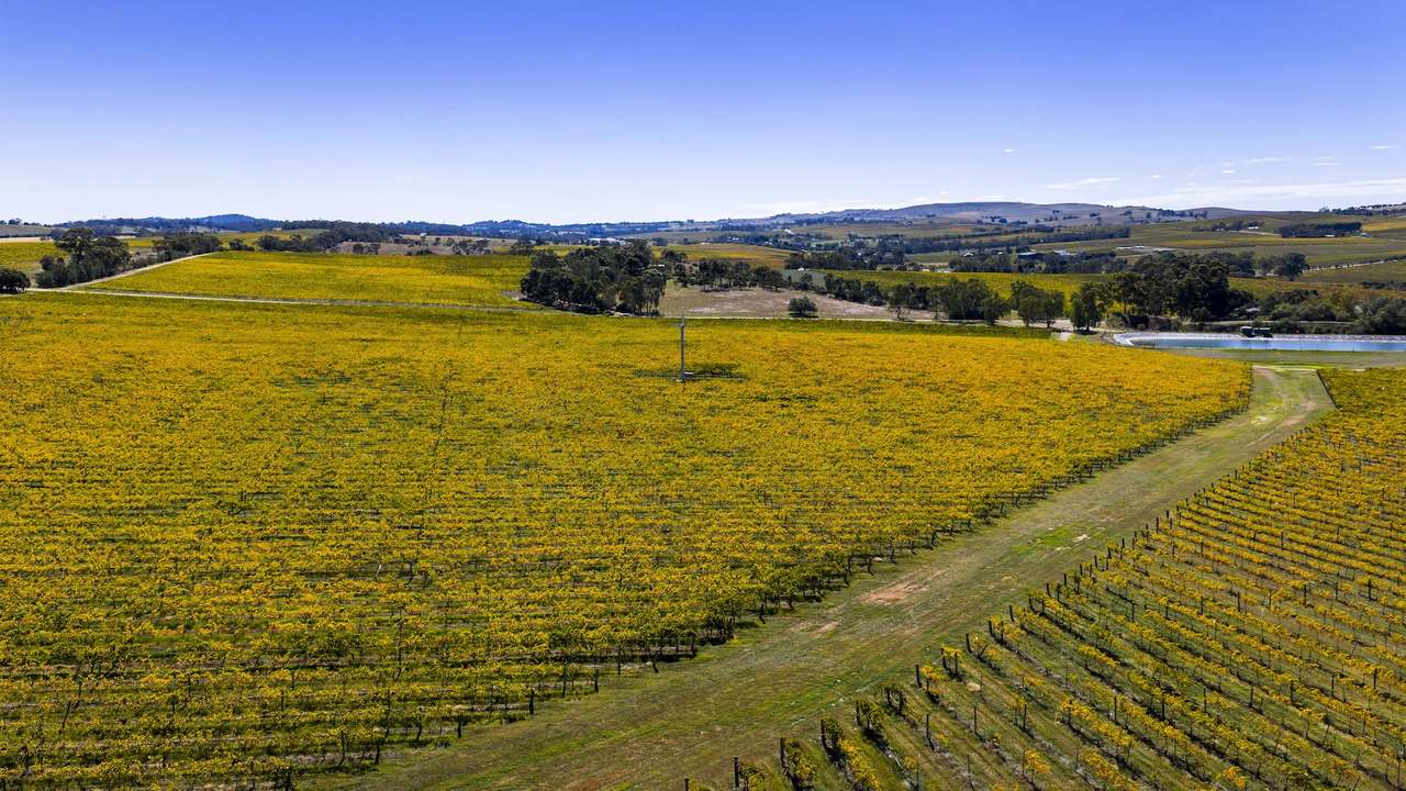67 Greenwood Park Road, Auburn For Sale by Farmbuy.com - image 51