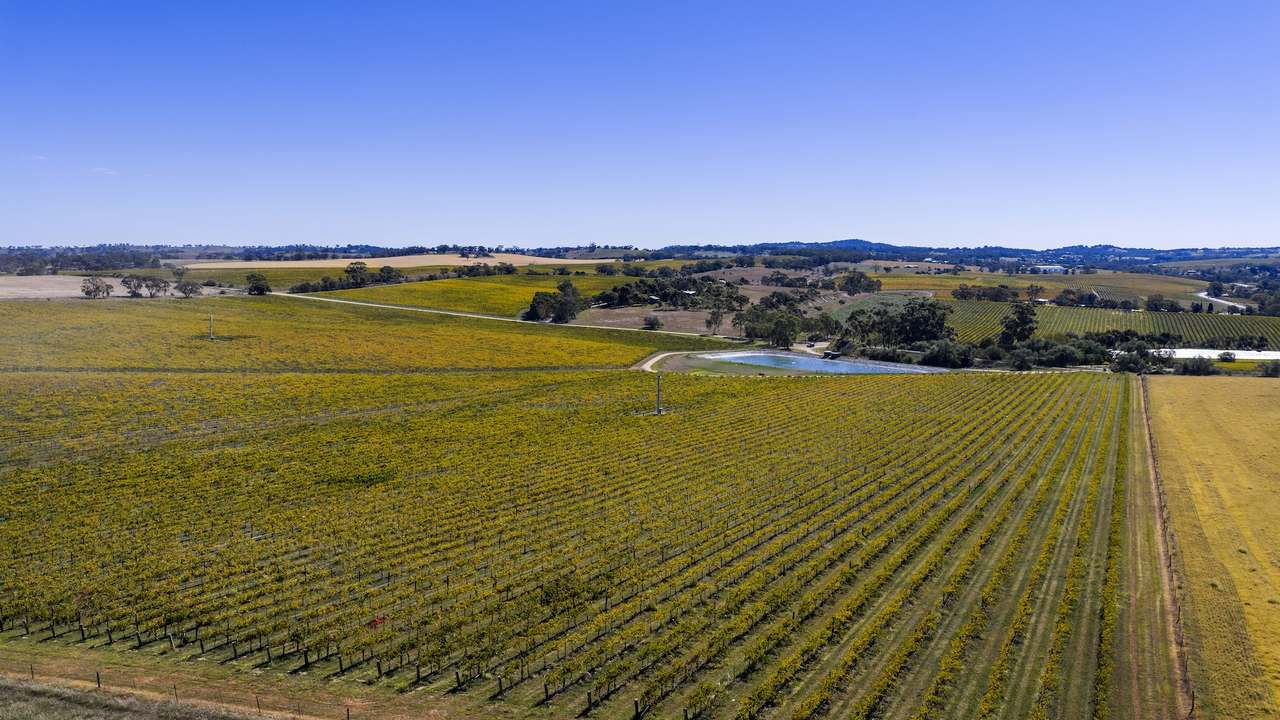 67 Greenwood Park Road, Auburn For Sale by Farmbuy.com - image 39