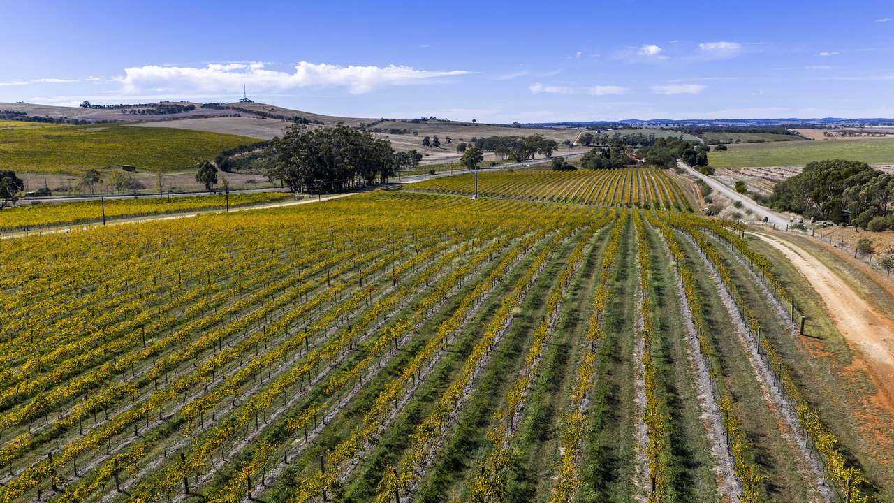 67 Greenwood Park Road, Auburn For Sale by Farmbuy.com - image 21
