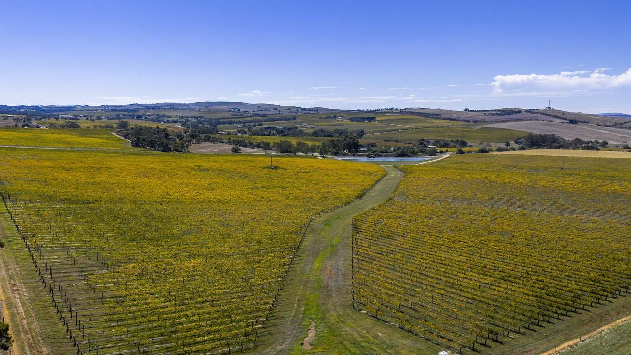 67 Greenwood Park Road, Auburn For Sale by Farmbuy.com - image 40