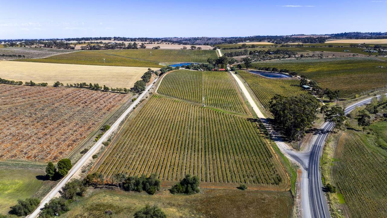67 Greenwood Park Road, Auburn For Sale by Farmbuy.com - image 9