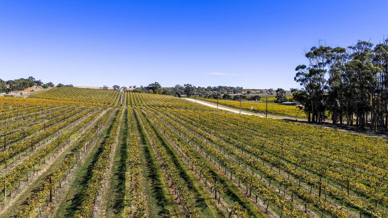 67 Greenwood Park Road, Auburn For Sale by Farmbuy.com - image 15