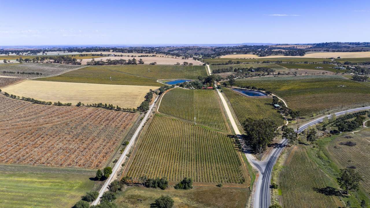 67 Greenwood Park Road, Auburn For Sale by Farmbuy.com - image 25