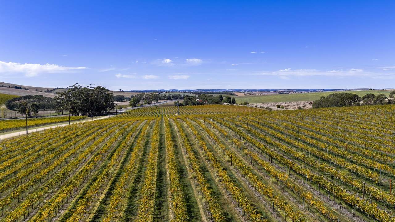 67 Greenwood Park Road, Auburn For Sale by Farmbuy.com - image 20