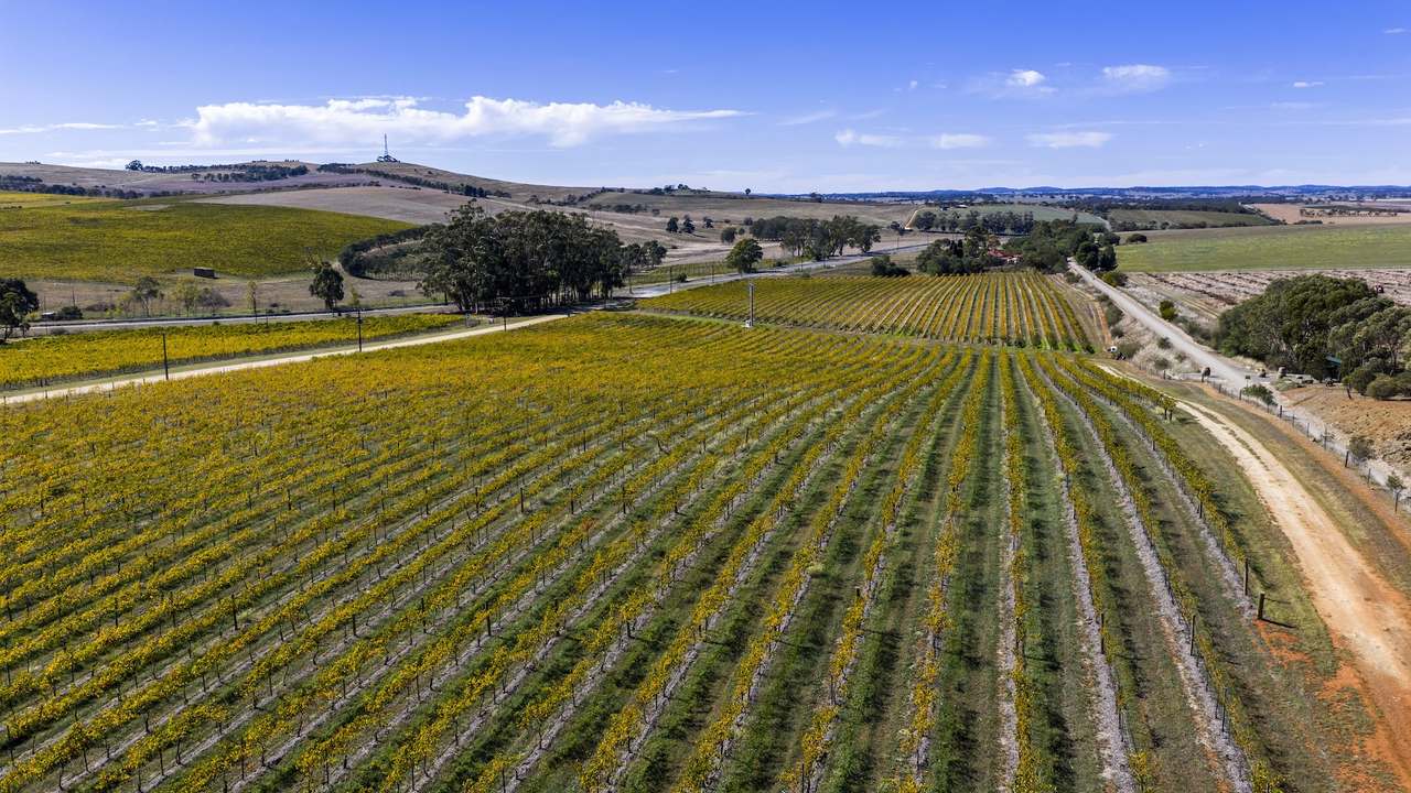 67 Greenwood Park Road, Auburn For Sale by Farmbuy.com - image 7