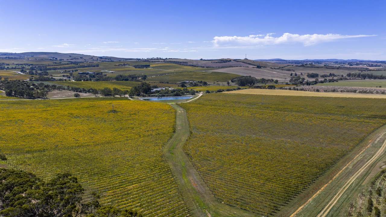 67 Greenwood Park Road, Auburn For Sale by Farmbuy.com - image 41