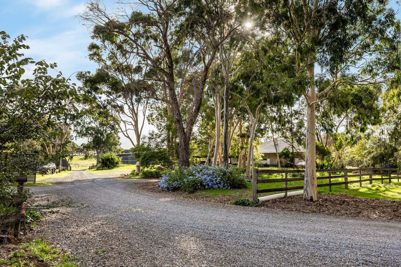 Brooks Road, Clarendon For Sale by Farmbuy.com - image 11