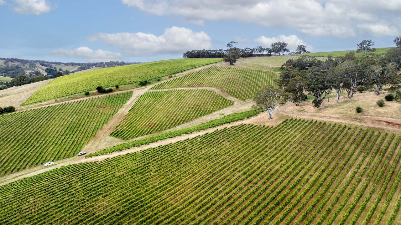 Brooks Road, Clarendon For Sale by Farmbuy.com - image 28