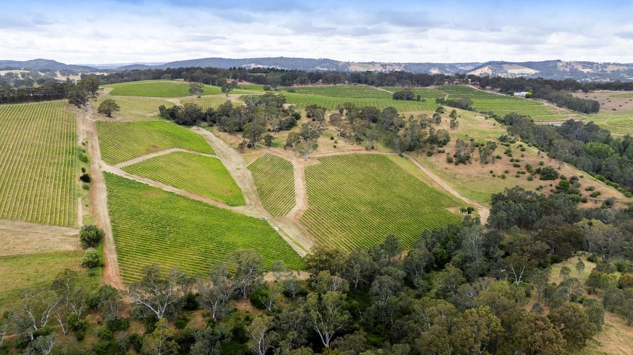 Brooks Road, Clarendon For Sale by Farmbuy.com - image 31