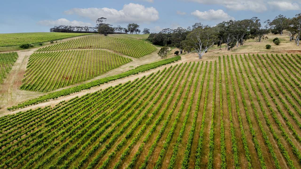 Brooks Road, Clarendon For Sale by Farmbuy.com - image 29