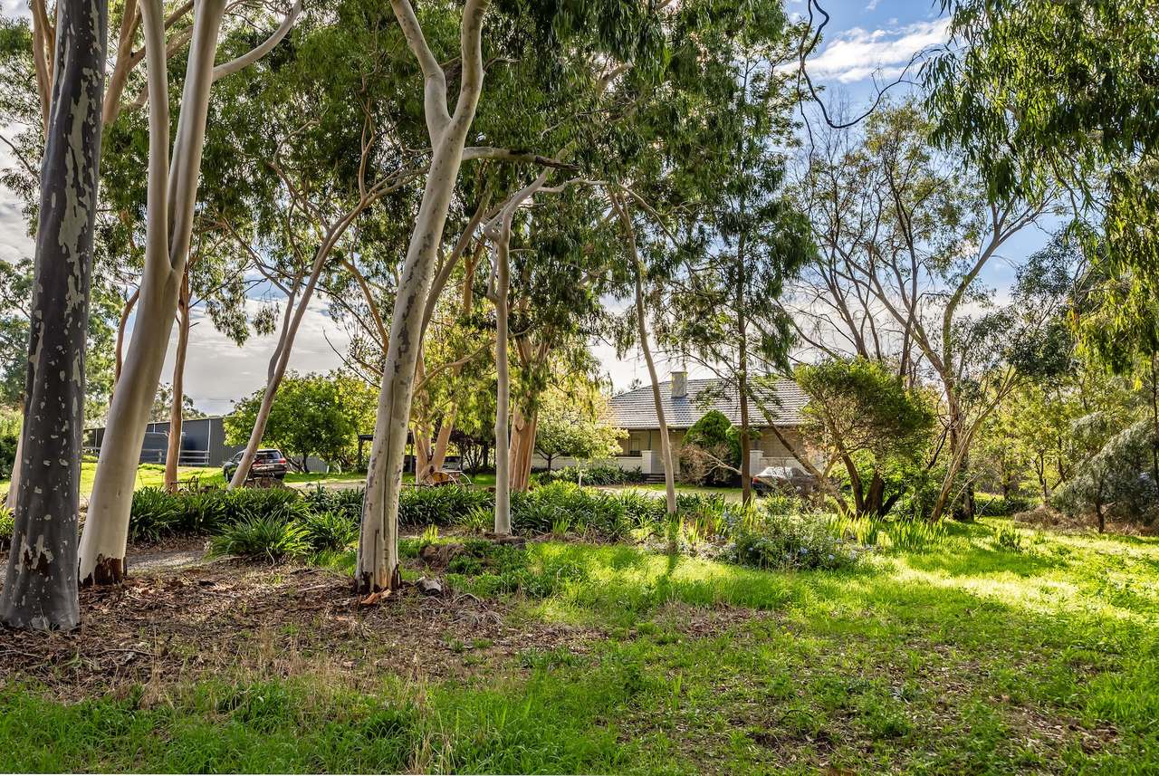 Brooks Road, Clarendon For Sale by Farmbuy.com - image 12