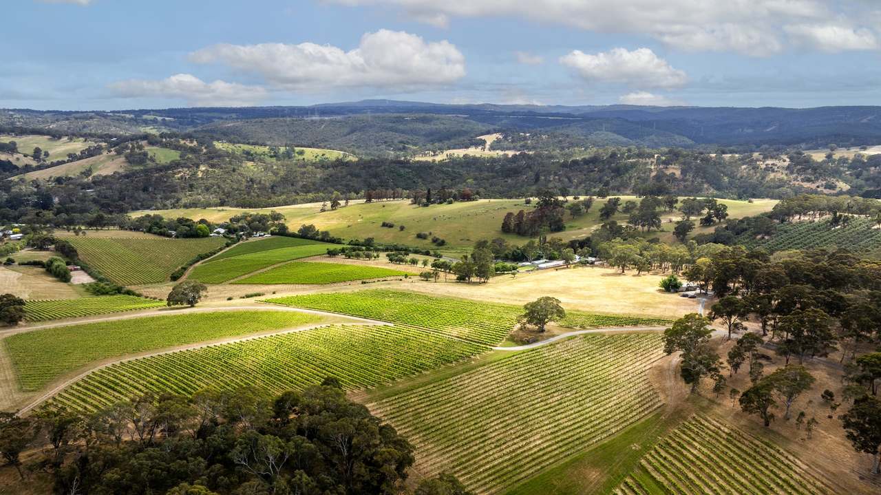 Brooks Road, Clarendon For Sale by Farmbuy.com - image 9
