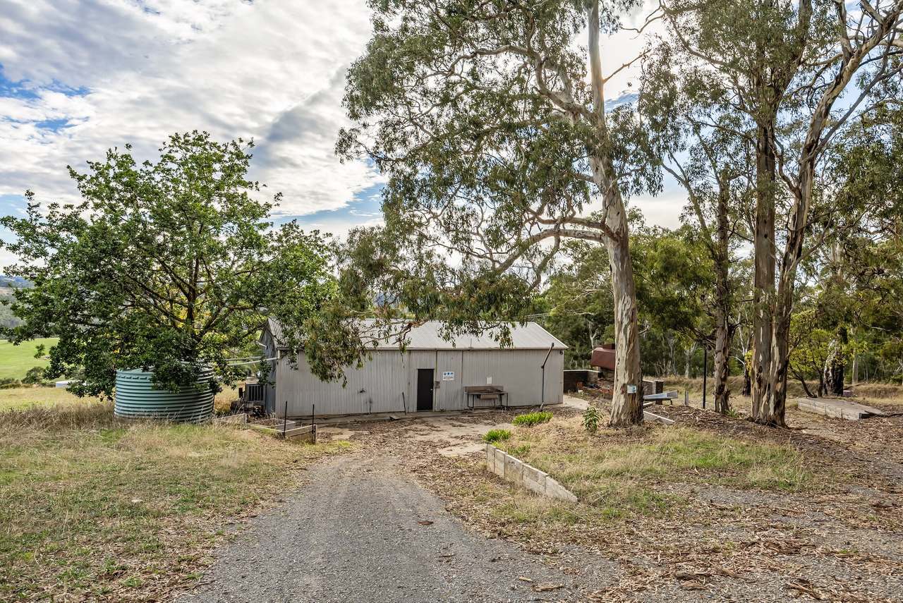 Brooks Road, Clarendon For Sale by Farmbuy.com - image 13