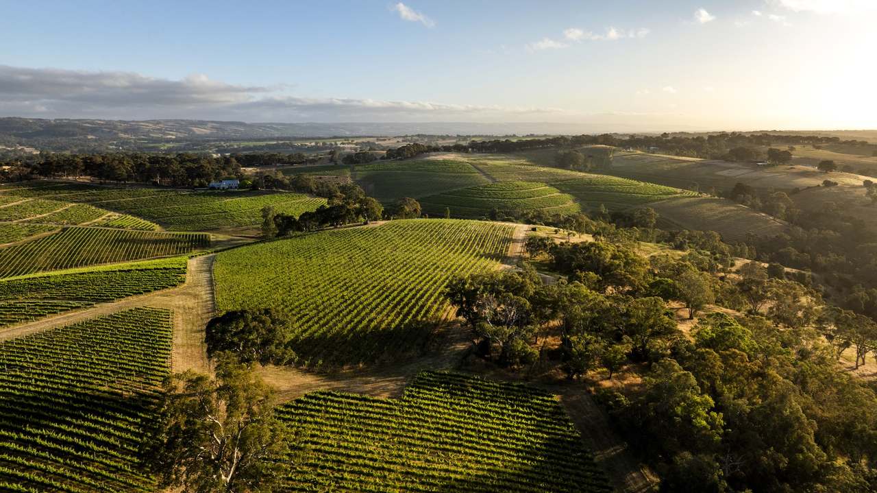 Brooks Road, Clarendon For Sale by Farmbuy.com - image 72