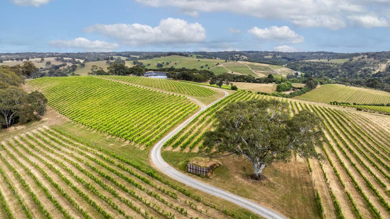 Brooks Road, Clarendon For Sale by Farmbuy.com - image 21