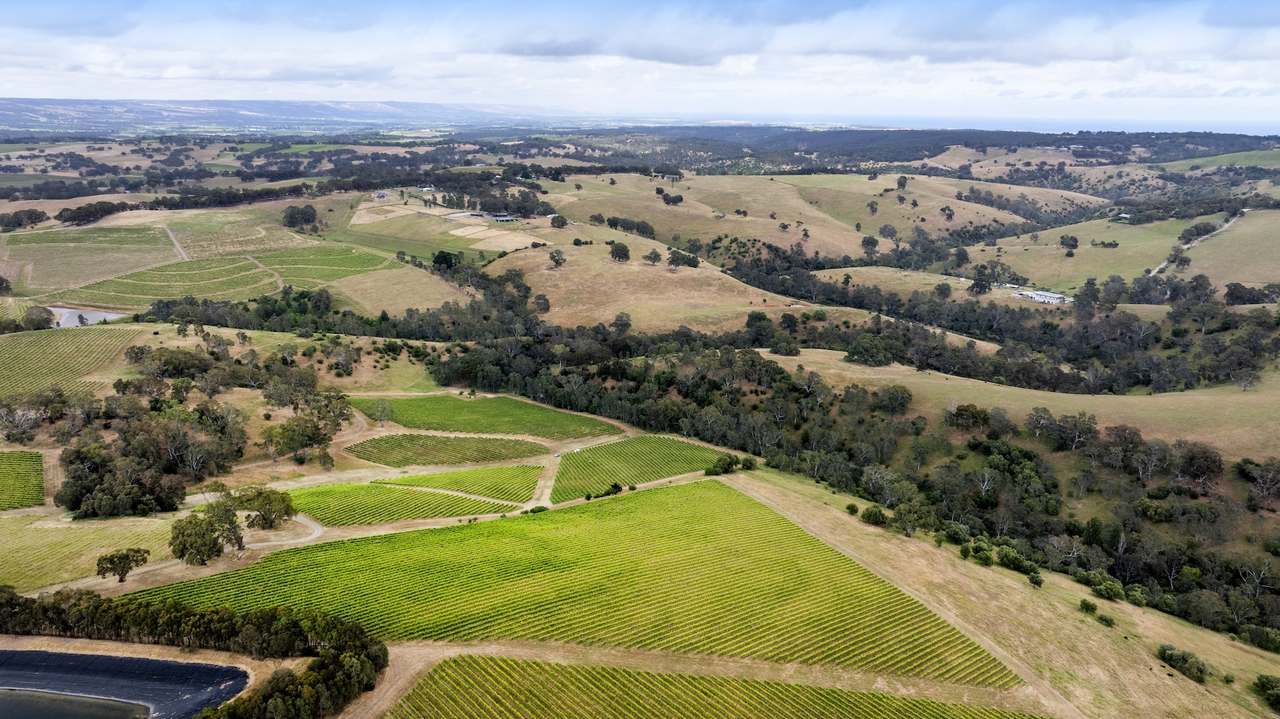 Brooks Road, Clarendon For Sale by Farmbuy.com - image 27