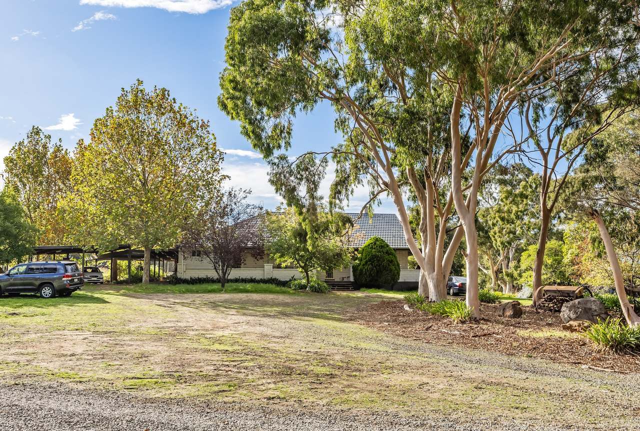 Brooks Road, Clarendon For Sale by Farmbuy.com - image 10