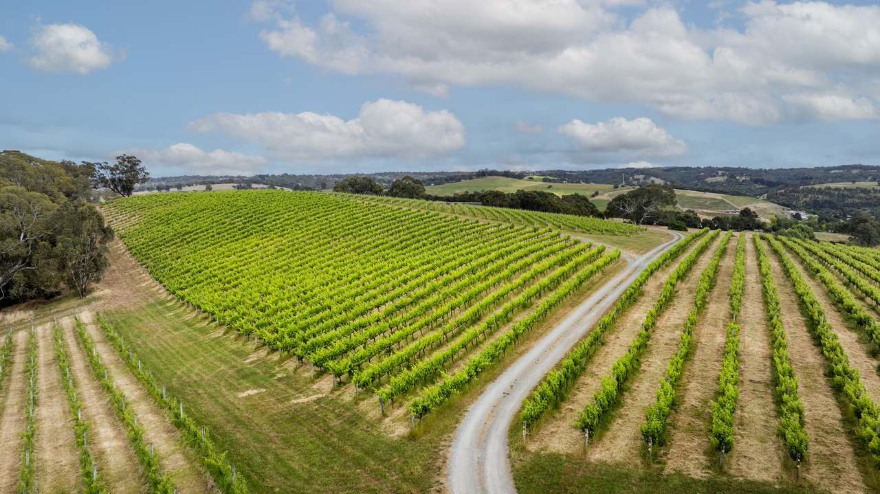 Brooks Road, Clarendon For Sale by Farmbuy.com - image 22