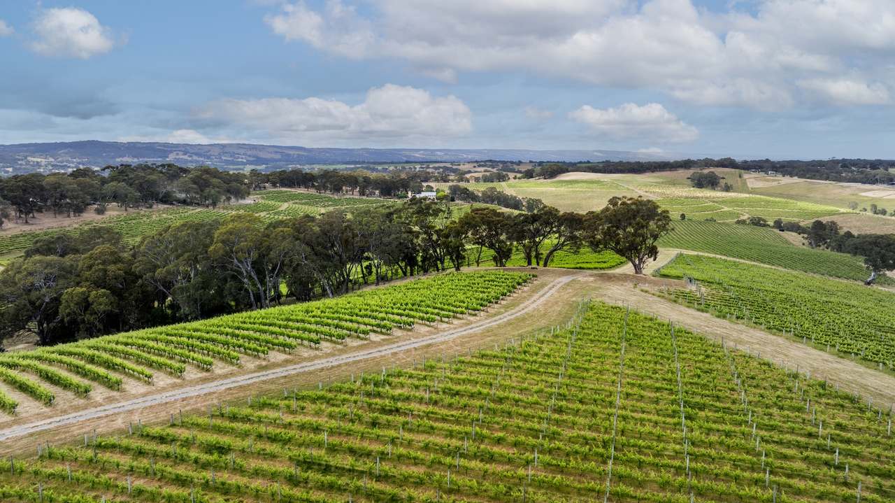 Brooks Road, Clarendon For Sale by Farmbuy.com - image 25