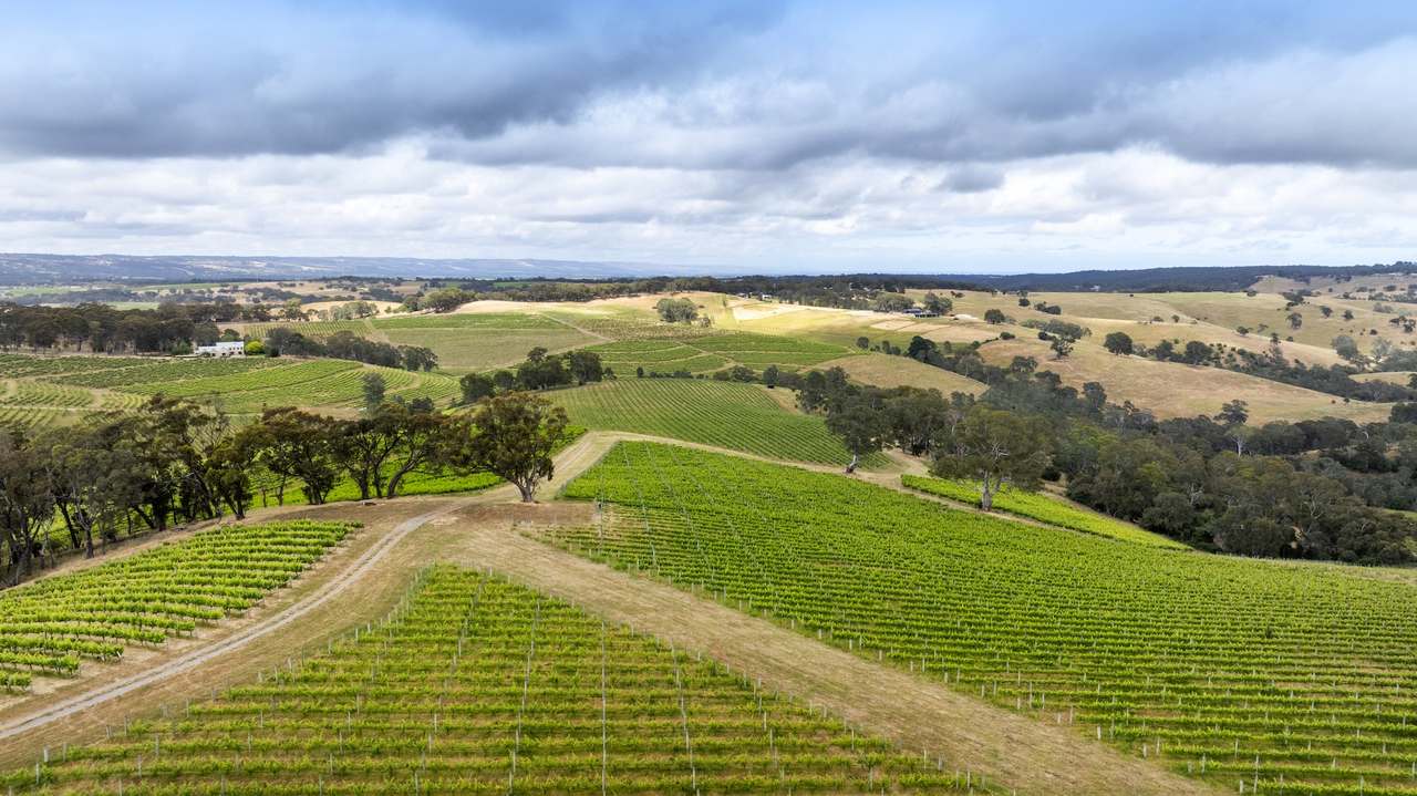 Brooks Road, Clarendon For Sale by Farmbuy.com - image 23