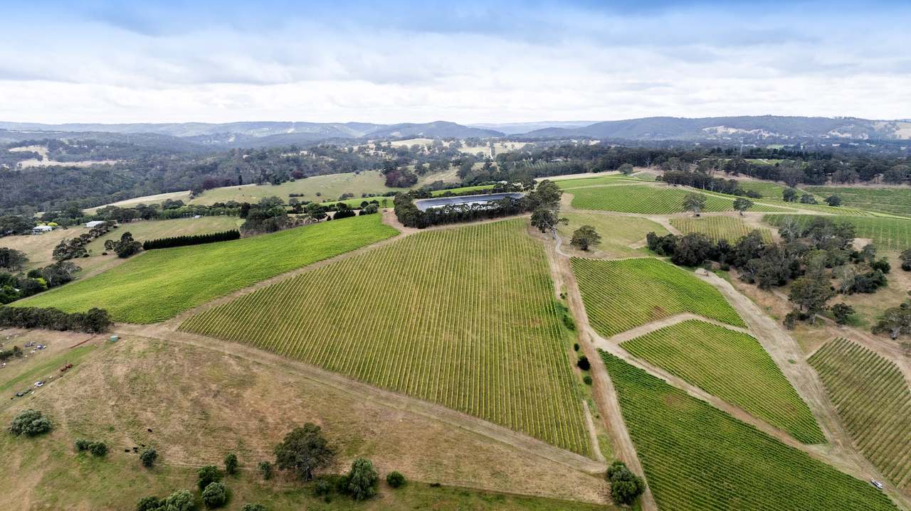 Brooks Road, Clarendon For Sale by Farmbuy.com - image 32