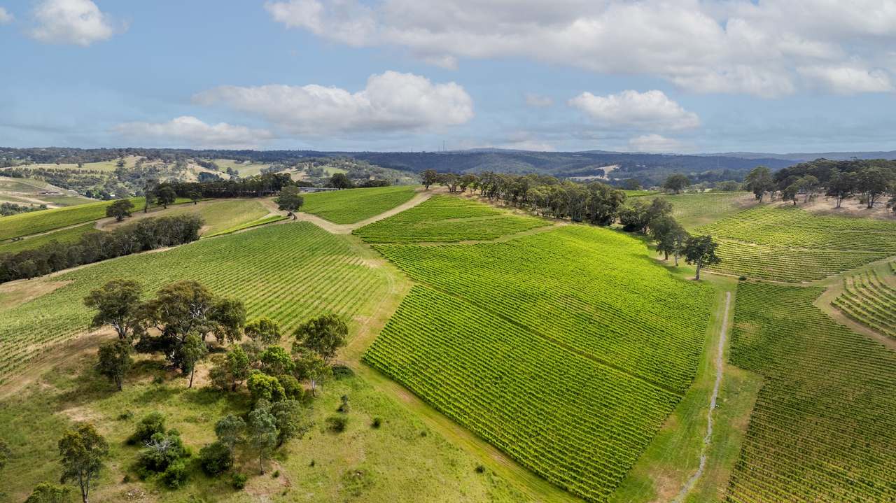 Brooks Road, Clarendon For Sale by Farmbuy.com - image 3