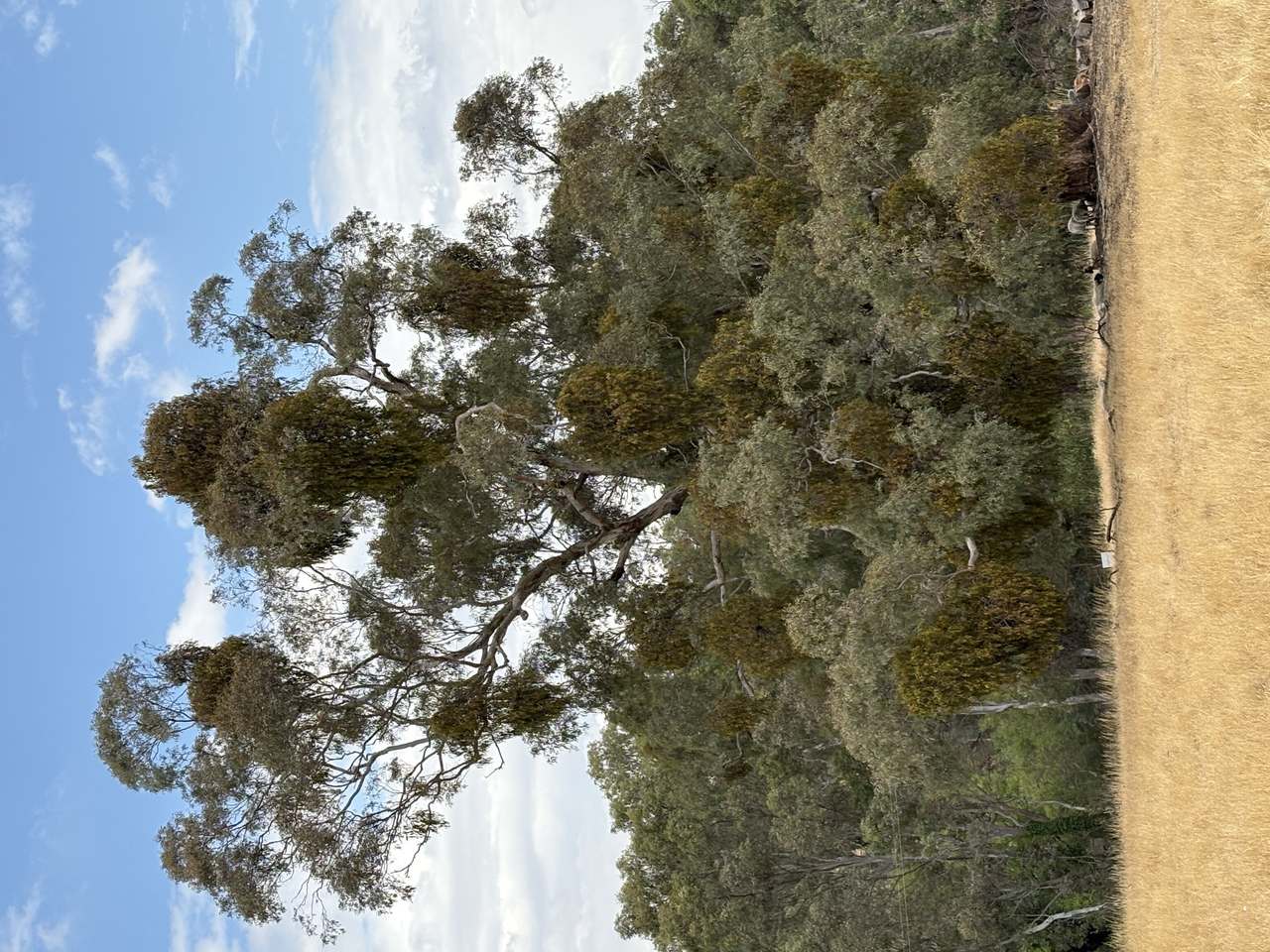 Lot 4 & 5 Sandy Creek Rd, Pyalong For Sale by Farmbuy.com - image 4