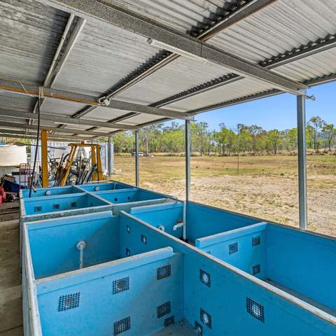 586 Hodzic Road, Biboohra For Sale by Farmbuy.com - image 16
